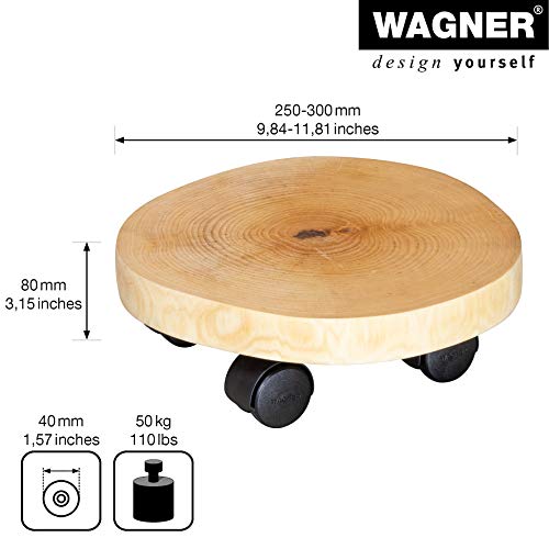 WAGNER Pflanzenroller BAUMSTAMM UNIKAT Ø 25-30 x 8 cm I Blumenroller für Innenbereich I Kübelroller aus Baumstammscheibe, Birke Natur geölt I Tragkraft 50 kg - 20026801