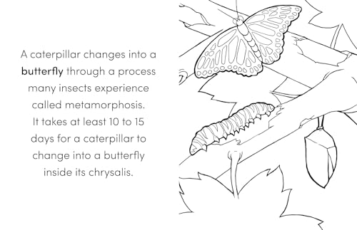 Coloring Book Box Set: 3 Books for Coloring Fun and Awesome Facts about Dinosaurs,Bugs,and Wild Animals(Perfect Gift for Kids Ages 3-7) (A Did You Know? Coloring Book) - Image 7