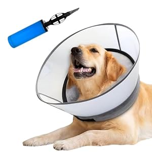 Amzdamai aufblasbarer Hundekegel mit Anti-Leck-Schild