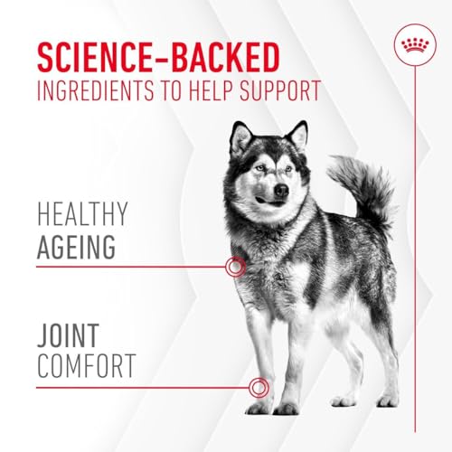 Royal Canin Dog Supplement for Joint & Ageing Soft Chews 240g - Image 4