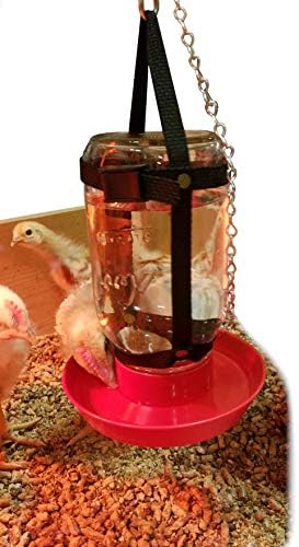 Your Happy Chicks 1 Qt. Hanging Harness (Adjustable, Glass or Plastic Jars)