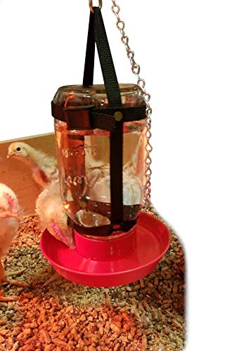 Your Happy Chicks 1 Qt. Hanging Harness (Adjustable, Glass or Plastic Jars)