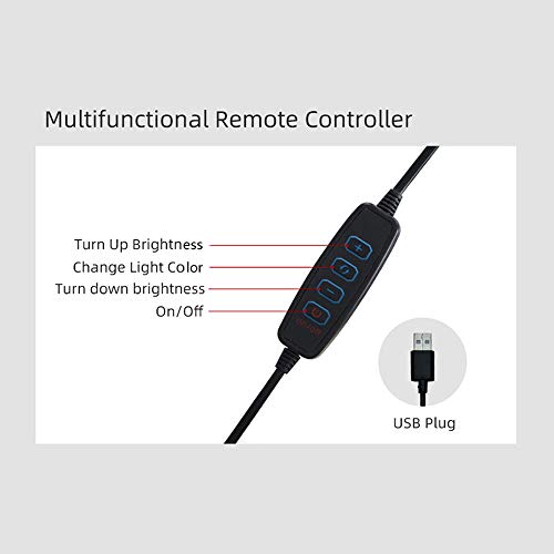 Anel de luz LED Andoer para transmissão ao vivo, fotografia de selfie, fotografia de vídeo com supor