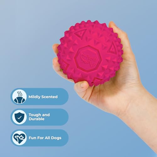 Image of Best Pet Supplies Squeaky Dog Toys with Soft Durable Fabric for Small, Medium and Large Pets Interactive Toy for Indoor Play, Supports Active Biting and Play - Fuchsia (L:3.5 inch)