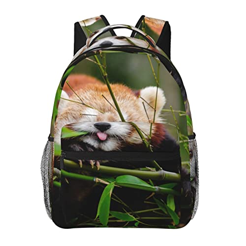 Sac d'école Petit Panda Rouge noir grand volume pour étudiant