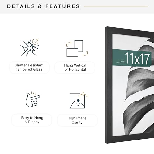 MCS Studio Gallery 11x17 Picture Frame Black Woodgrain, Rectangle Photo Frame for Photos, Posters & Art Prints (2-Pack)