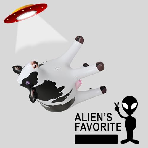 image for Jet Creations 37