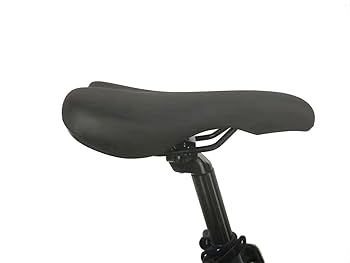 半額！BAGGIO 折りたたみ自転車 青　防災対応20型６スピード　ノンパンク pd_7724641de5e3e9e6e3c7a661357