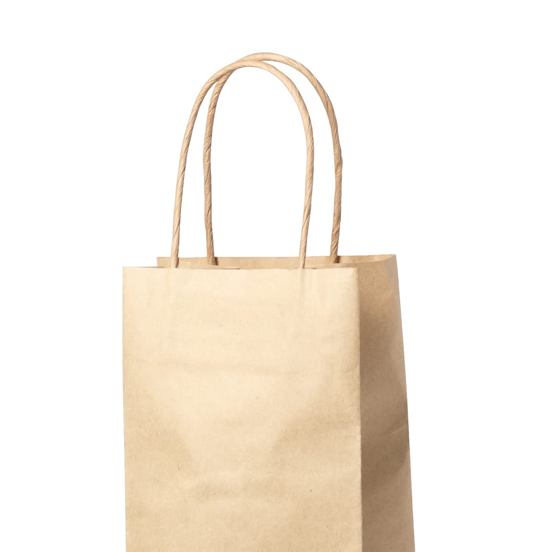 Lot de 100 SACS PAPIER KRAFT Pratique, papier, écologique, marron, idéal pour bouteilles de vin., karft