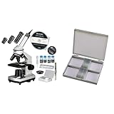 produit 2: Livraison: 25 préparations permanentes, caisse en bois.