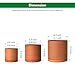 D'vine Dev Terracotta Pots for Plants, 4.2 Inch 5.3 Inch 6.5 Inch, Succulent Planter Pot with Drainage and Saucer, 40-T-A-0