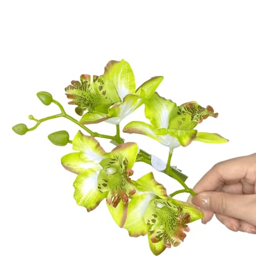 xbiez lHXC[gt[wANbv ̎qp qp ob^ t[ VrWE nhCh wAs u[wAs