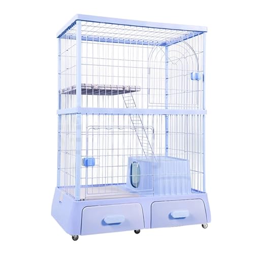 L P[W 2i LX^[t gCpotLpP[W LQ[W SɖꂽLpgCLAETMA``Ap(Blue)
