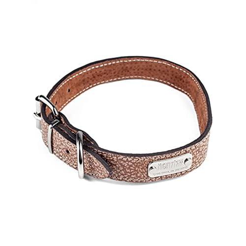 Mighty Paw Leather Dog Collar - Genuine Distressed Leather - Strong Metal Buckle - Ultimate Comfort - Modern Style for All Dogs Breeds - Comfort Puppy Collar - (Large - Lite Brown) Large: 14