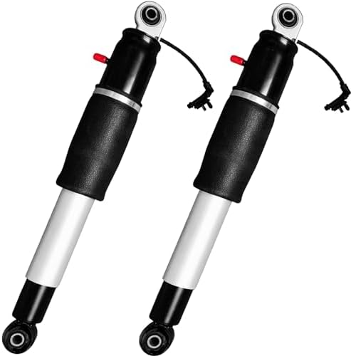 Amazon.com: ACDelco GM Original Equipment 84176675 Rear Air Lift 