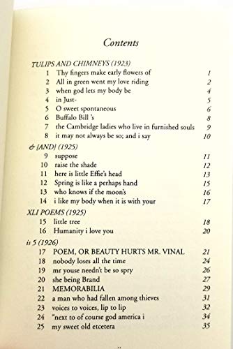 100 Selected Poems by e.e. cummings B07JLPBBK3 Book Cover