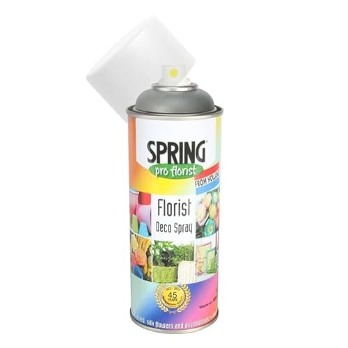 Floralcraft Charcoal Grey Floral Spray Colour 400Ml – Permanent Flower & Foliage Spray Paint For Fresh, Dried & Artificial Flowers – Fast Drying, Strong Adhesion – Wide Range Of Shades (Charcoal Grey)