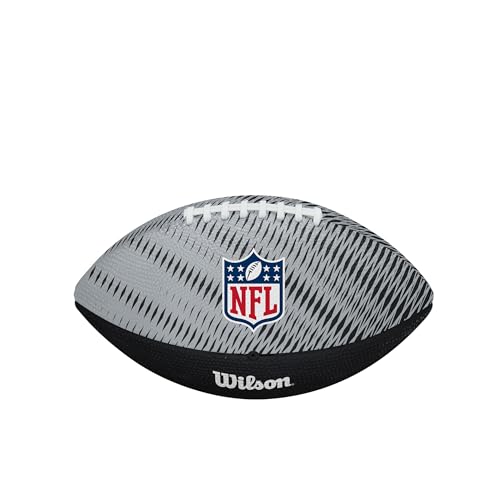 Image of WILSON Unisex NFL Team Tailgate Footballs