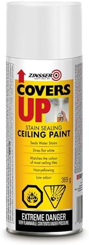 Zinsser Covers Up Ceiling Touch Up Spray Paint in White 369g