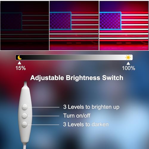 Image of USA Neon Signs for Wall Decor，Led Neon Light for Man Cave、Bedroom、Garage，Christmas Birthday Party Gifts
