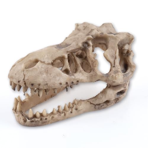 Image of Dinosaur Skull Aquarium Decoration,Fish Tank Decor,6.3 inchx4 inchx4 inch | Hideaway for Fish, Natural Look, Fun Underwater Environment