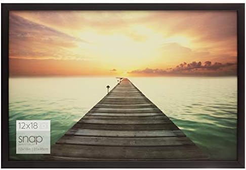 Gallery Solutions 12x18 Black Wood Wall Photo Frame