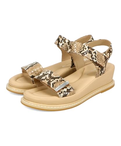 [IG^gtBbN] T_ NbV EGbW\[ xg JWA ₷ ₷ fB[X 52205 BROWN 23.0 cm~23.5 cm E