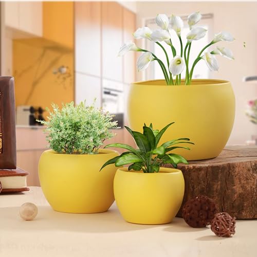 Image of Elegant Yellow Matte Finished Tabletop Planters Pots for Plants Flowers, Living Room Drawing Room Balcony Office Decoration Ideas for Plants Set of 3 (Plants not Included)