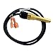 Lochinvar Inlet Emersion Sensor for EnergyRite 100208553