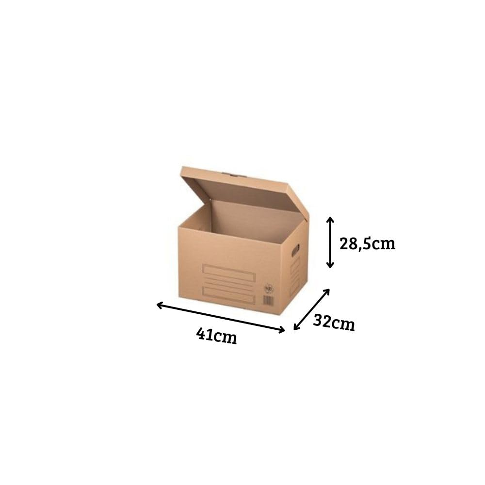 karton-billiger Archivschachteln Aktenkarton Archivkarton Archivbox mit Klappdeckel 10Stück