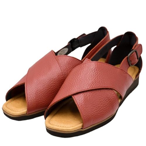 [Figurino] tBO[m y {v XgbvT_ FT2040(SP2040) [Y 23.5cm { L 3E b CY  bNX U[ v NXxgT_ fB[X C