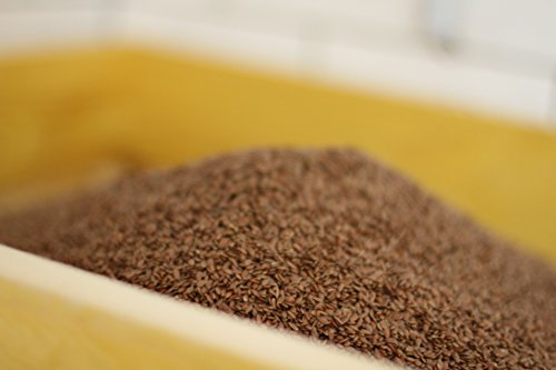 Original Radduscher Leinöl aus dem Spreewald Dorf Raddusch kaltgepresst, ungefiltert 100% naturrein und naturbelassen Leinsamenöl Omega 3 vegan reines Naturprodukt aus dem Spreewald (500 ml)