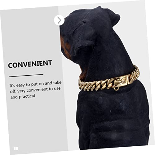 Collier en acier inoxydable or pour chien idéal pour la promenade - 4