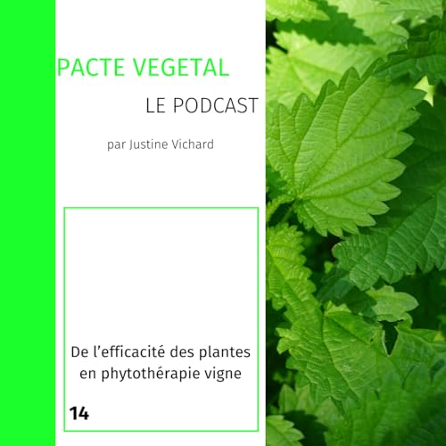 Episode 14 - De l'efficacit&eacute; des plantes en phytoth&eacute;rapie vigne