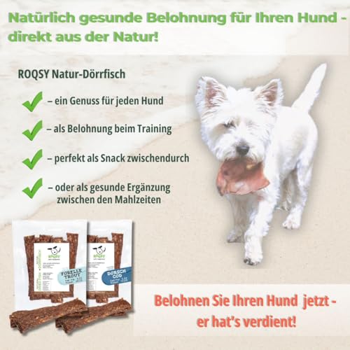 ROQSY Natur-Dörrfisch 100% Forelle – Single-Protein, getreidefrei, ohne Zusätze, schonend getrocknet, leicht und nahrhaft, reich an Omega 3, Made in Germany – 200g