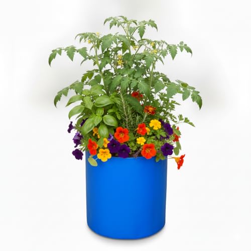 Image of Bio Blooms Round HDPE Plant Grow Bag for Terrace & Kitchen Gardening | Pack of 5 | 9x12 | 350 GSM Heavy Duty Outdoor Grow Bag | Durable Planter for Vegetables, Flowers & Plants | Blue