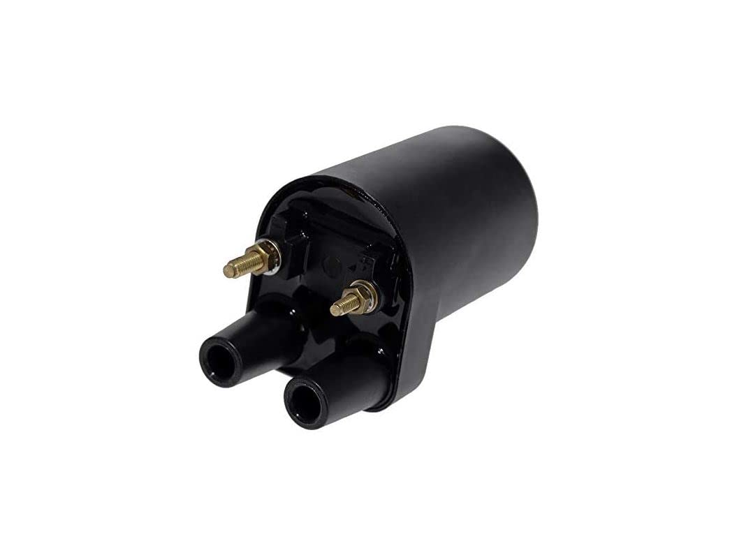 Amazon | BMotorParts イグニッションコイル Onan 商用PTO 4500 BGD RV