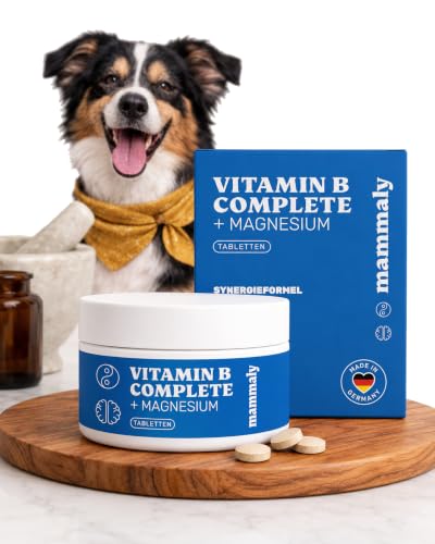 mammaly Vitamin B Komplex für Hunde - 9,9% Magnesiumfumarat & Hefe hochdosiert - Biotin & B12 | Nervensystem, Haut & Fell - Senior & Barf geeignet - 120 Tabletten, reicht 60-120 Tage