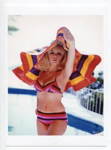 Amazon 映画女優 ステラ スティーヴンス 写真 フォト 中 Portrait Photograph 2 アイドル 芸能人グッズ 通販