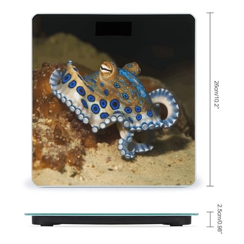Báscula digital Blue Ring Octopus con vidrio templado miniatura 2