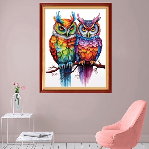 Image of Foxhool Stamped Cross Stitch Kits,11CT Printed Cross Stitch Pattern Full Embroidery Kits for Beginner Needlepoint Kits-Two Colorful Owls 16x20 inch
