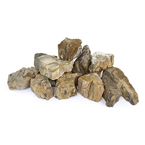 H2Pro Petrified Wood Fossil Rock Aquarium Decoration (44lb Per Box)