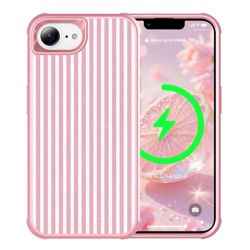 Coque iPhone 17e anti-chocs STERKER souple et rigide pour éviter les rayures