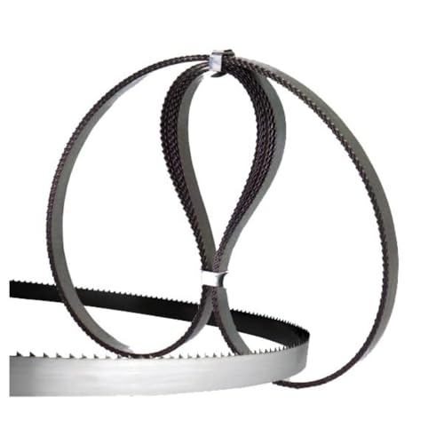 seno & seno – lame per segaossa elettrica – acciaio al carbonio temprato, dentatura di precisione, set da 10 pezzi – taglio netto e pulito, ideale per macellerie e ristorazione (1830x20 mm)