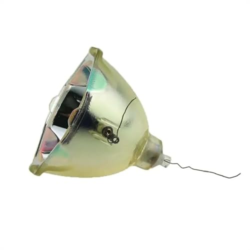 ET-LAF100 Accessories of projection lamp fit for PT-PX970 PT-PX980NT PT-F200NTE PT-F200NTEA PT-F200NTU PT-F200E F200U(ET-LAF100-