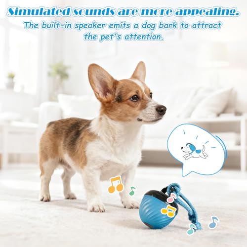 TZQFROCE Interaktives Hundespielzeug Hunde Ball Spielzeug Automatisch Rollender Ball für Hunde 3 Spielmodi interaktiver Hundespielball für Aktivitäten und Unterhaltung