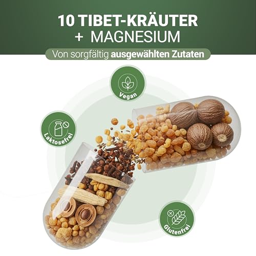 PADMA NervoTib 60 Kapseln - Mit Magnesium für Nerven & Psyche - Unterstützt Energiestoffwechsel & verringert Müdigkeit - Tibetische Kräuterrezeptur Dzati-10 - Vegan, hergestellt in der Schweiz