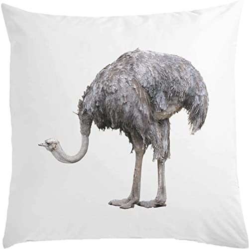 Avestruz Big Funny Bird Bowing White Almohada 40x40cm con relleno Blanco Talla única