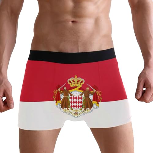 Netherlands Flag Mens Underwear Boxer Briefs2