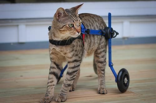 Miniatura 2 de Walkin' Wheels Ligero, para gatos pequeños de 2 a 20 libras, aprobado por veterinarios, silla de ruedas para gatos para patas traseras, para gatos